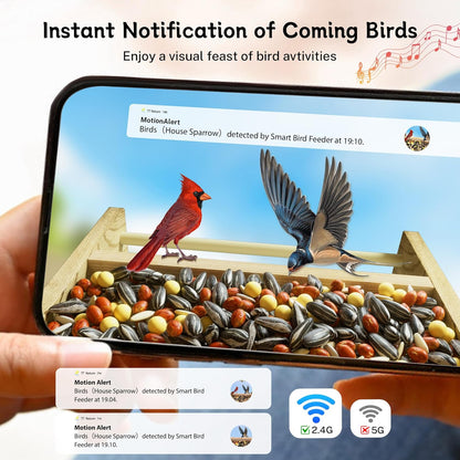 Feeder with Camera, Upgraded Smart Bird Feeder with Solar Powered, AI Identify for 10000 Plus Bird Species, Auto Capture Bird & Real-time Notifications, Ideal Gift for Bird Lovers