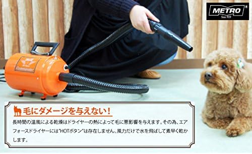 Air Force Commander 2-Speed Dryer 4.0 HP Motor S