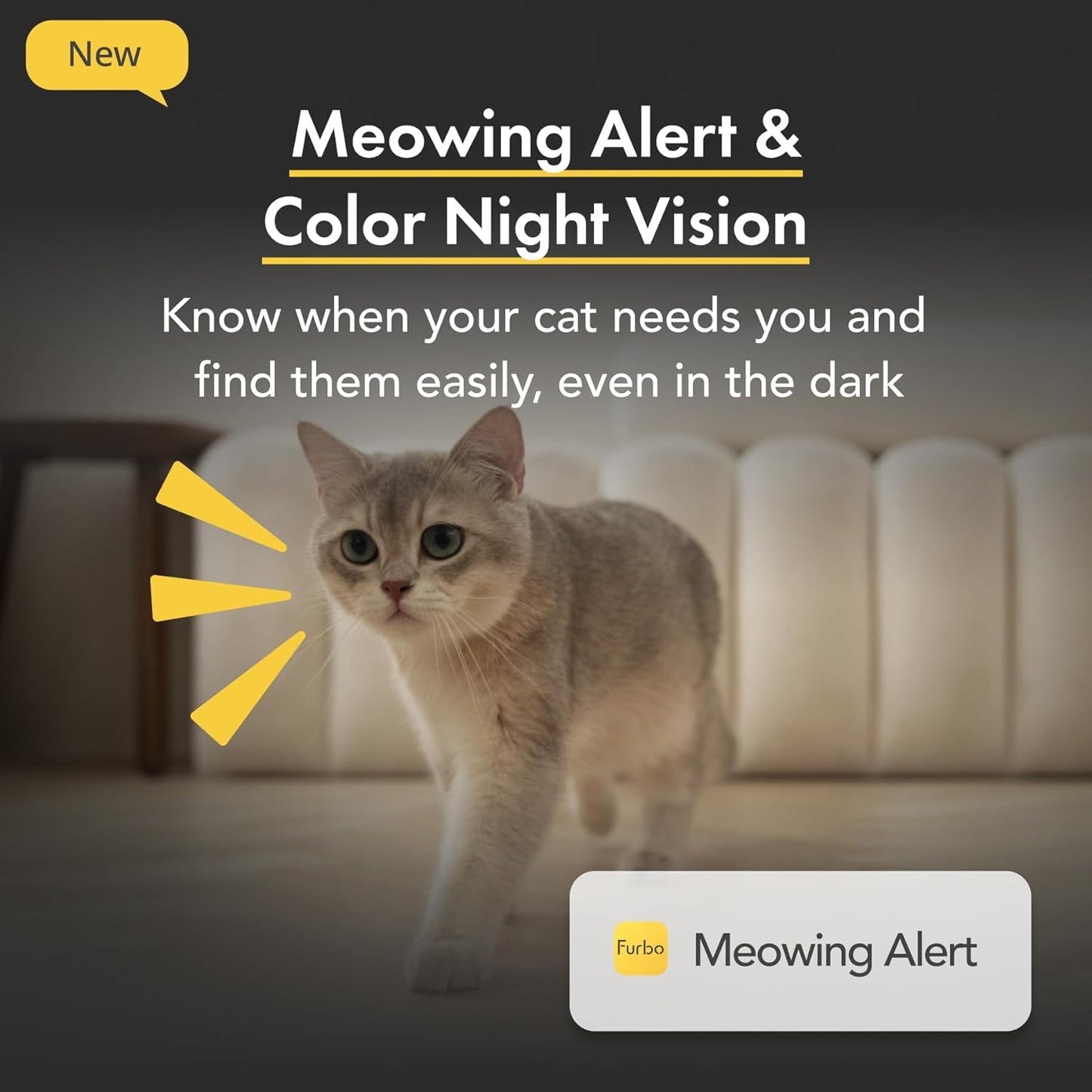 360° Cat Camera: See Your Cat from Anywhere | Rotating 360° Cat Tracking, Treat Toss, Color HD Night Vision, 2-Way Audio, Real-Time Notifications, Designed for Cats | Pet Camera w/Phone App