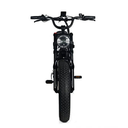 Electric Mountain Bike for Adults | 20 x 4.0 Fat Tires, 1000W Motor, 48V 20Ah Removable Battery, Max Speed 45MPH, Shi Mano 7-Speed for Off-Road Adventures